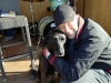 my_dog_friend_cindy